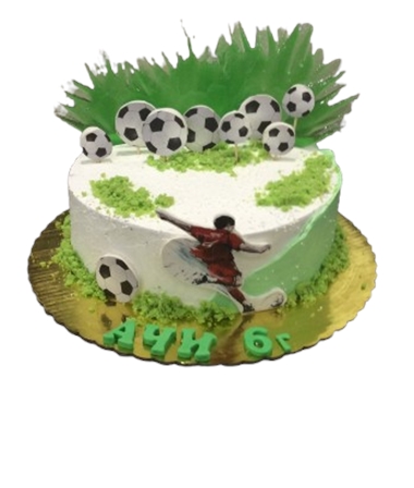 81
